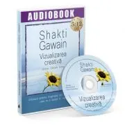 Vizualizarea creativa. Audiobook