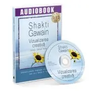 Vizualizarea creativa. Audiobook
