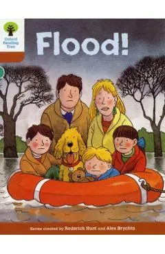 Oxford Reading Tree: Level 8: More Stories: Flood!
