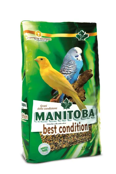 Manitoba Best Condition - Hrana completa pentru canari, pasari autohtone - 2.5kg