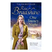 One Snowy Night