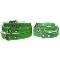 Pet Expert Zgarda Pasla Verde - nr-0