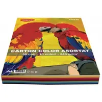 Carton A4 color asortat 10 culori 50 coli