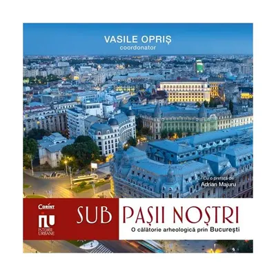 Sub pașii noștri - Paperback brosat - Vasile Opriș