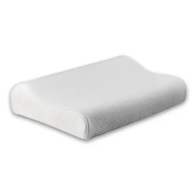 Perna latex wellness anatomica 60x30x12