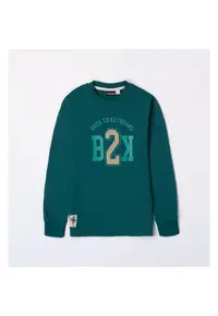 Bluza cu imprimeu pentru baiat - 0.7433 - Verde