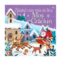 Băiatul care voia să fie Moș Crăciun - Hardcover - ***