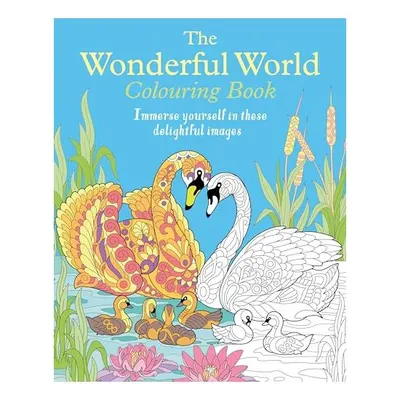 The Wonderful World Colouring Book