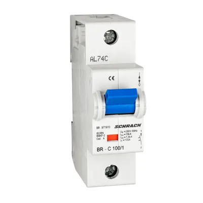 Intreruptor automat C 100A, 1 p, 10kA