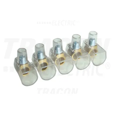 Clema cu surub, carcasa transparenta, 10 poli, 1 surub TBT-6/10 10×6mm2, 450VAC