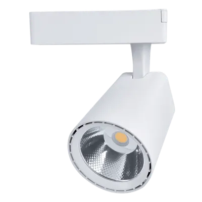 Spot Sky Tl5020 Cob 20w 220-240v 2700k 36° White