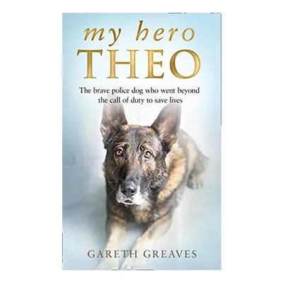 My Hero Theo