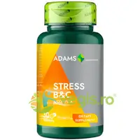 Stress B&C 30tb