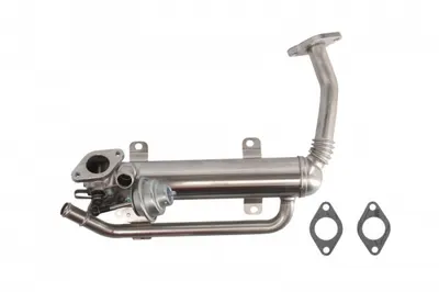 Radiator Egr Audi A3; Seat Altea, Altea Xl, Cordoba, Ibiza Iii, Ibiza Iv, Leon, Toledo Iii; Skoda Fabia Ii, Octavia Ii, Roomster, Superb Ii; Vw Caddy Iii, Eos, Golf Plus 1.9d 2.0d Dupa 2001