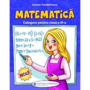 Culegere de matematica pentru clasa 3-a