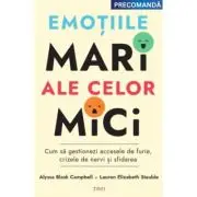 Emotiile mari ale celor mici. Cum sa gestionezi accesele de furie, crizele de nervi si sfidarea