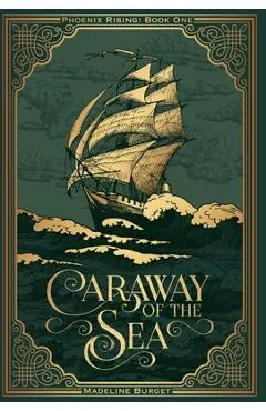 Caraway of the Sea: A grim-cozy pirate fantasy featuring an asexual female main character