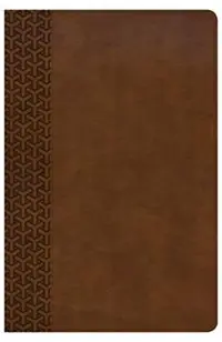 CSB Everyday Study Bible, British Tan Leathertouch: Black Letter, Study Notes, Illustrations, Aricles, Easy-To-Carry, Ribbon Marker, Easy-To-Read Bibl