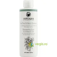 Sampon Anti-Matreata cu Tea Tree si Plante Bio 200ml