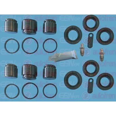 Set reparatie, etrier AUTOFREN SEINSA D42520C