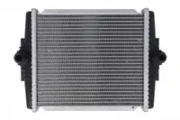 Radiator racire motor potrivit BMW 1 (F20), 1 (F21), 2 (F22, F87) 3.0 09.15-06.21