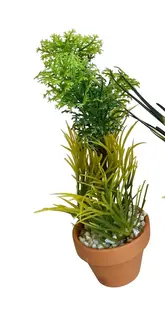 Sydeco Planta Aquaplant Small Pot Mix 18 cm 349716