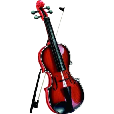 Vioara electronica - Reig Musicales