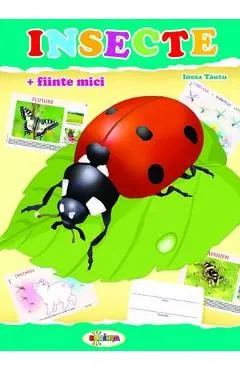 Insecte (mapa)