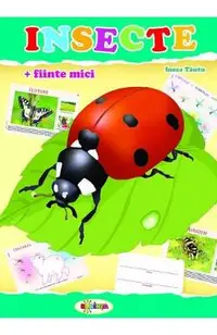 Insecte (mapa)