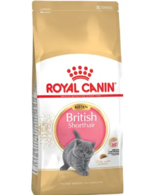 Royal Canin Felin British Shorthair Kitten - 400-g