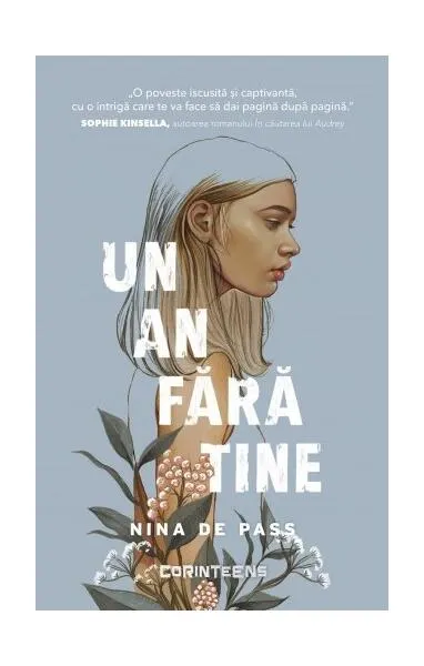 Un an fără tine - Paperback brosat - Nina de Pass