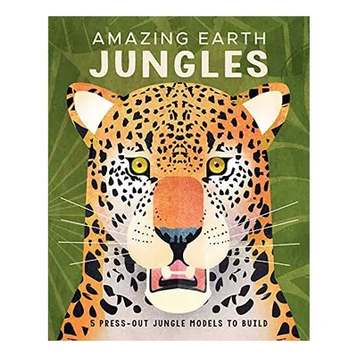 Amazing Earth