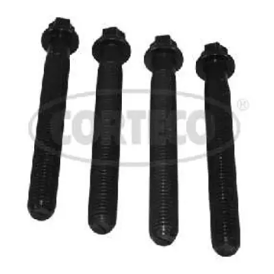 Set surub, disc curea-arbore cotit CORTECO 80004865