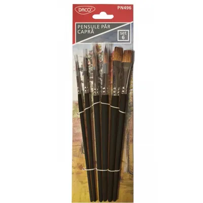 Pensula par capra 6buc/set, nr.1,2,4,6,8,10 varf rotund si drept, Daco