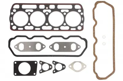 Set complet garnituri motor potrivit CASE IH 100, 1000, 3000, 900 D-206-DT-466