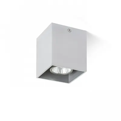 AGATE I Plafoniera mat alb 230V GU10 35W
