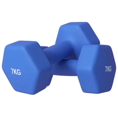 SPORTNOW Set 2 Gantere Hexagonale 2X7kg din Metal Și Plastic Albastru