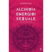 Alchimia energiei sexuale. Intra in legatura cu universul tau interior