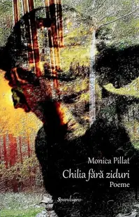 Chilia fără ziduri - Hardcover - Monica Pillat