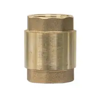 Supapa de Sens din Alama, 1 Inch, cu Arc si Element de Inchidere, 200 g