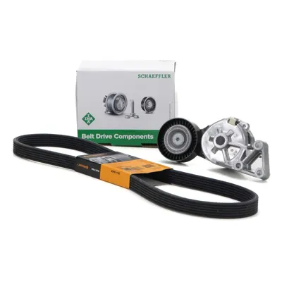 Intinzator Curea Transmisie Ina 534 0132 30 + Curea Transmisie Contitech 6DPK1195