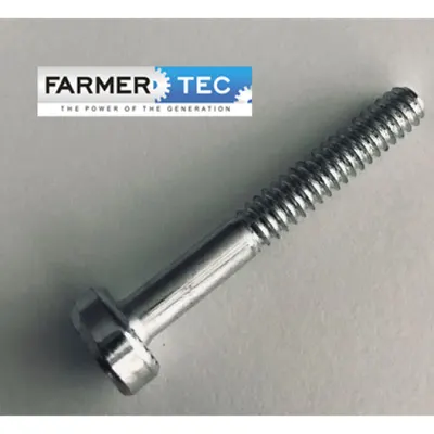 Surub Cilindru Stihl 017, 018, Ms170, Ms170c, Ms180, Ms180c Farmertec