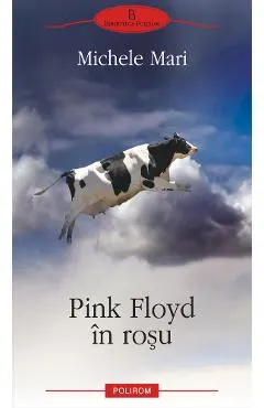 eBook Pink Floyd in rosu