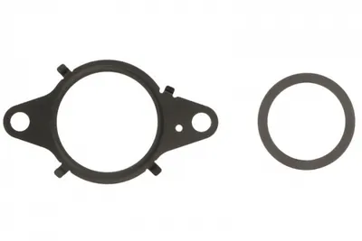 Set Garnituri Supapa Egr Potrivit Fiat 500x, Bravo Ii, Doblo, Doblo Cargo, Ducato, Freemont, Tipo; Jeep Compass, Renegade; Saab 9-3 1.6d 1.9d 2.0d 09.07
