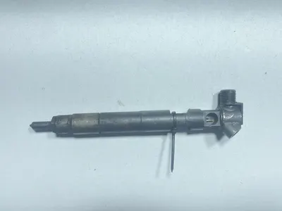 Injector A6510700587 Mercedes E-Class (2010->) [A207] 2.2 cdi euro 5