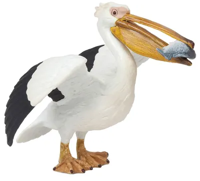 Figurina Papo Marine Life – Pelican
