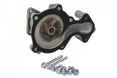 Pompa Apa cu Garnitura Potrivit Ford B-Max, C-Max Ii, Ecosport, Fiesta Vi, Fiesta Vii, Focus Iii, Focus Iii Hatchback, Focus Iii Kombi, Grand C-Max, Mondeo V 1.0-1.1lpg 02.12