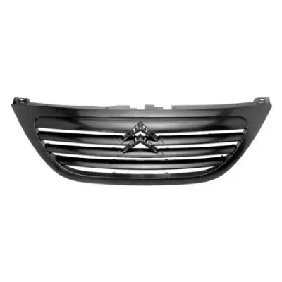 Grila radiator PHIRA C3-02100