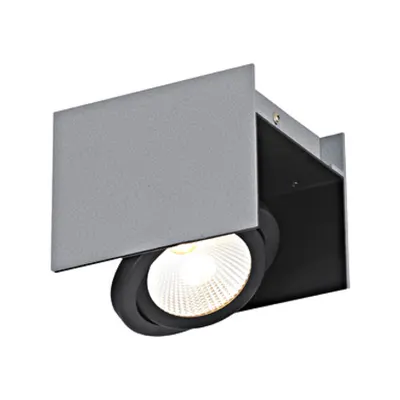 Vidago Pro / 1flg., DALI dimmable 9W 3000K silver IP20