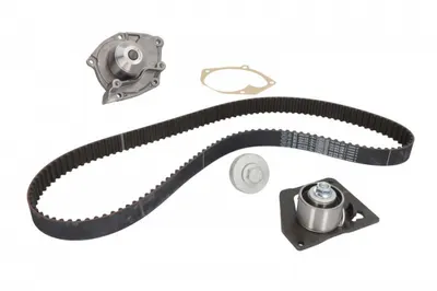 Set Pompa Apa + Curea Dintata Potrivit Nissan Primera; Renault Grand Scenic Ii, Grand Scenic Iii, Laguna Ii, Megane Ii, Megane Iii, Scenic Ii, Scenic Iii; Suzuki Grand Vitara Ii 1.9d 08.02